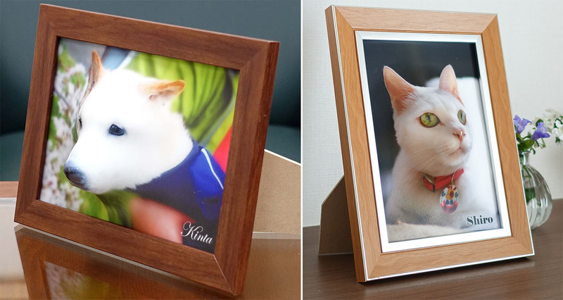 Illustration for article titled This Website Turns Photos of Your Pets Into 3D Reliefs You Can Actually Pet